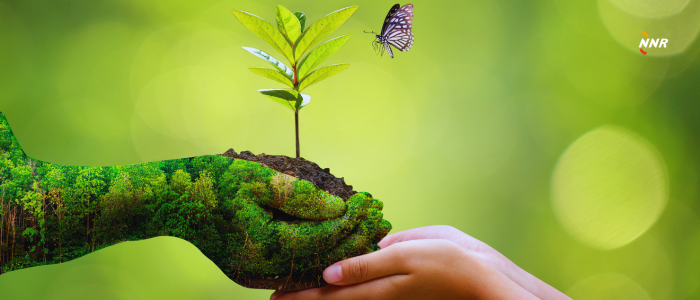 How shipping companies will balance costs for greener practices