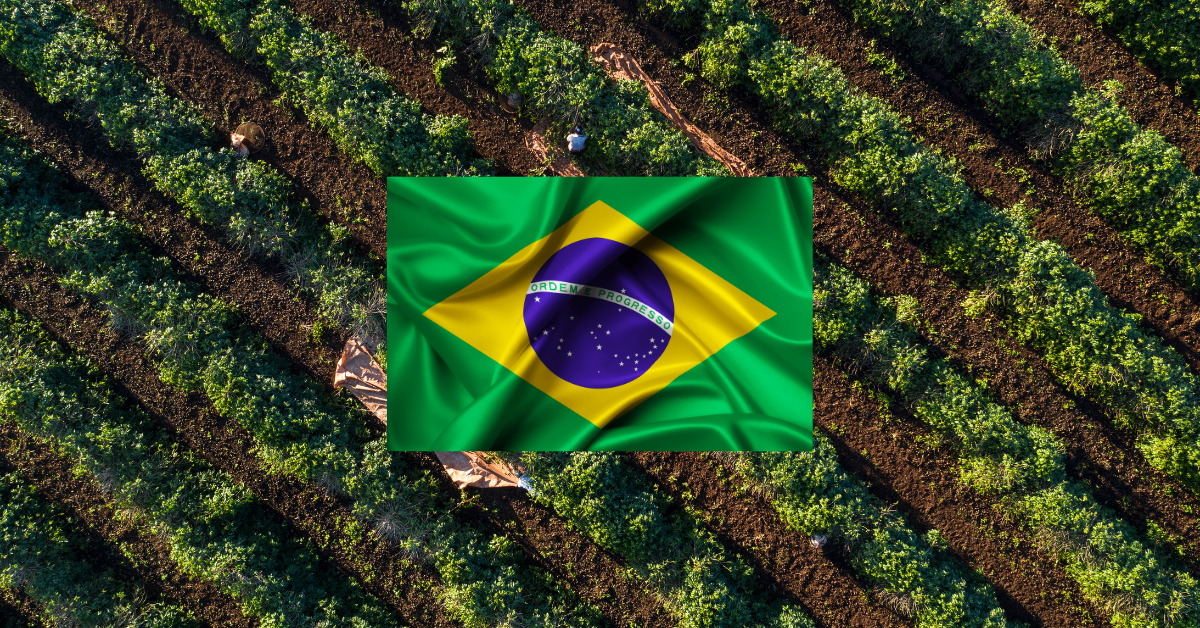 Agricultural Products Exempt from IEEPA Brazil Tariffs