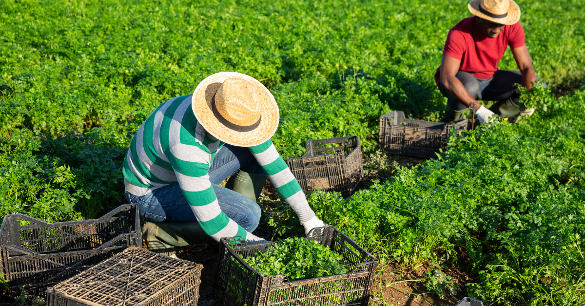 60 - Section 301 Investigations Related to Forced Labor